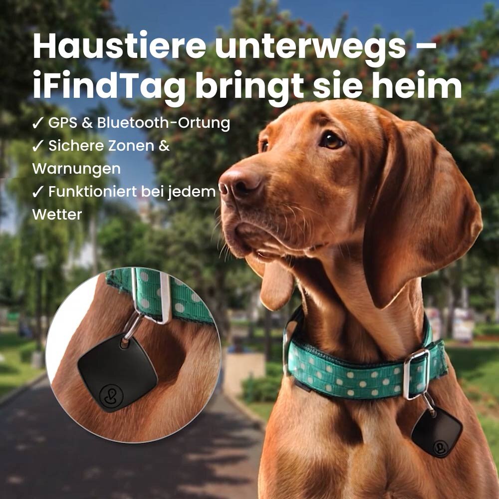 iFindTag image