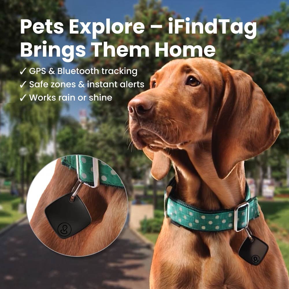 iFindTag image